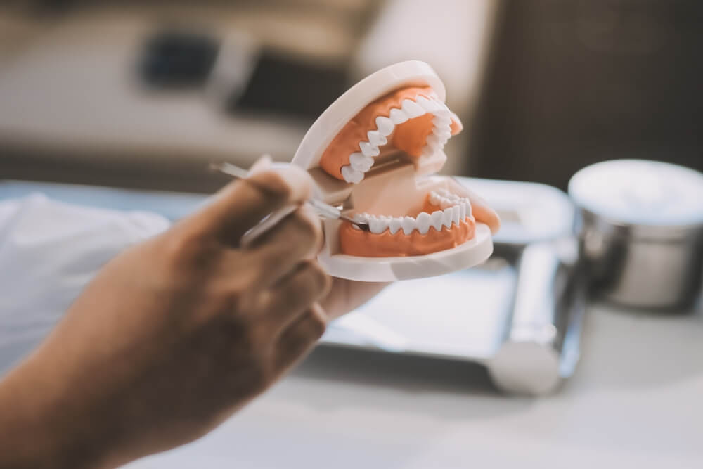 A dentist is using specialized dental equipment to inspect dentures